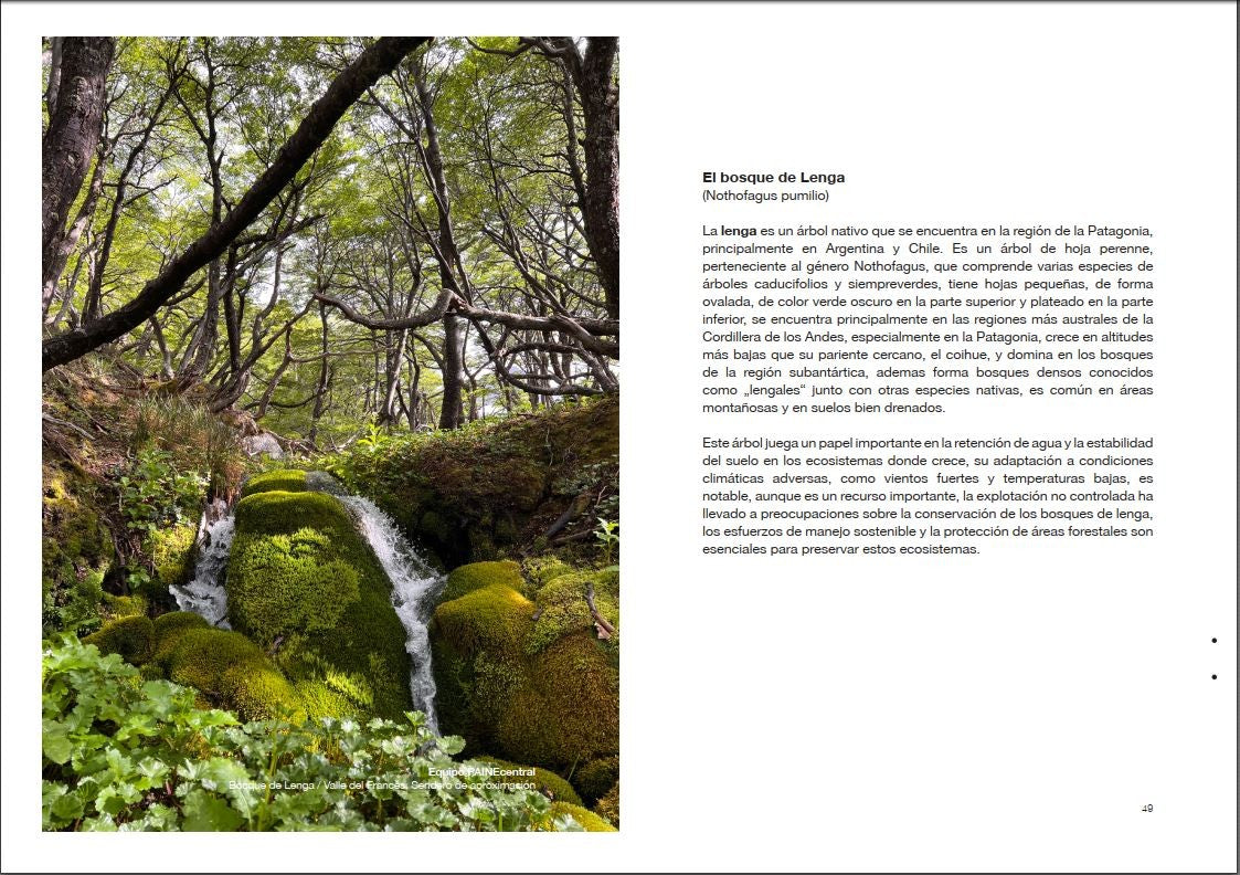 Guía Torres del Paine