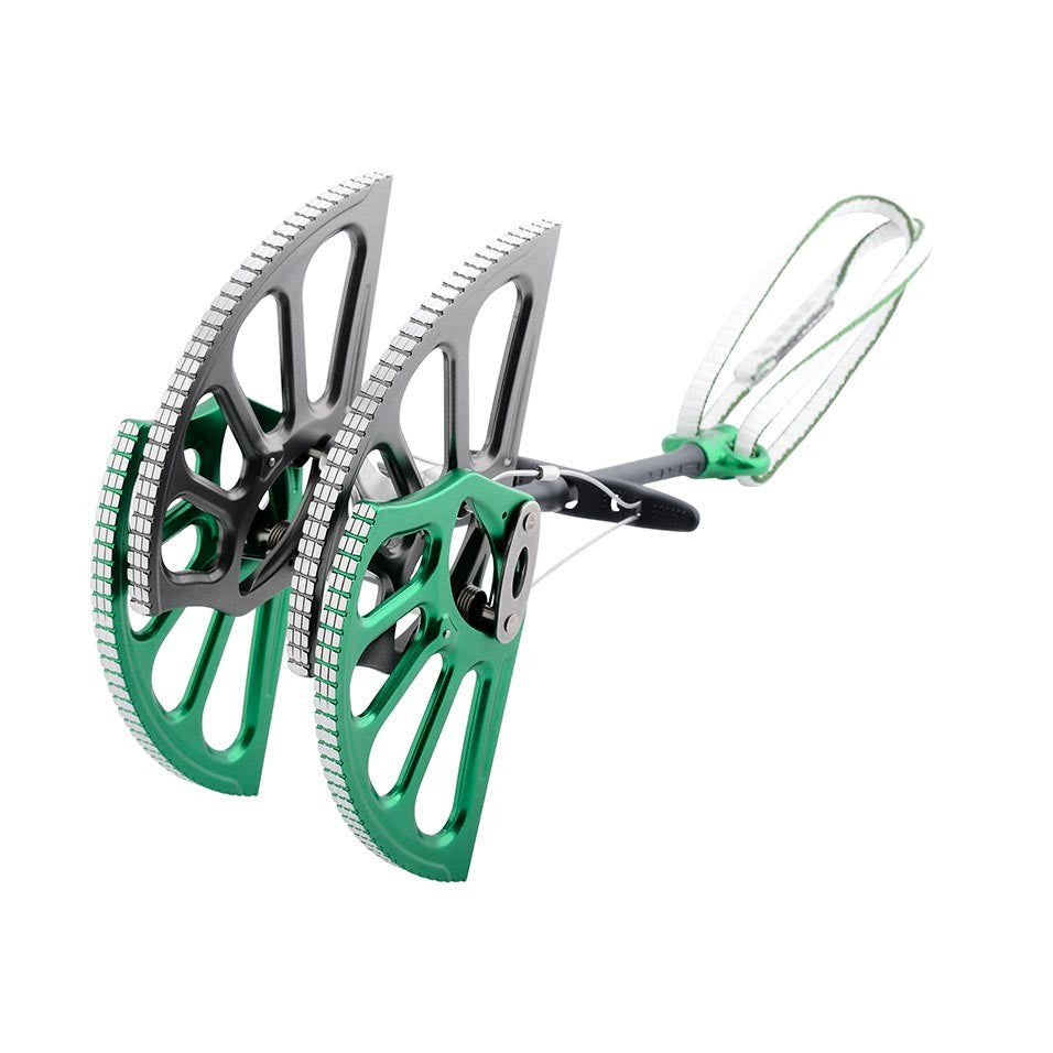 Friend Dragon Cams DMM