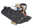 Money Belt