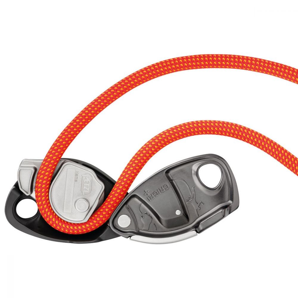 Asegurador GriGri+