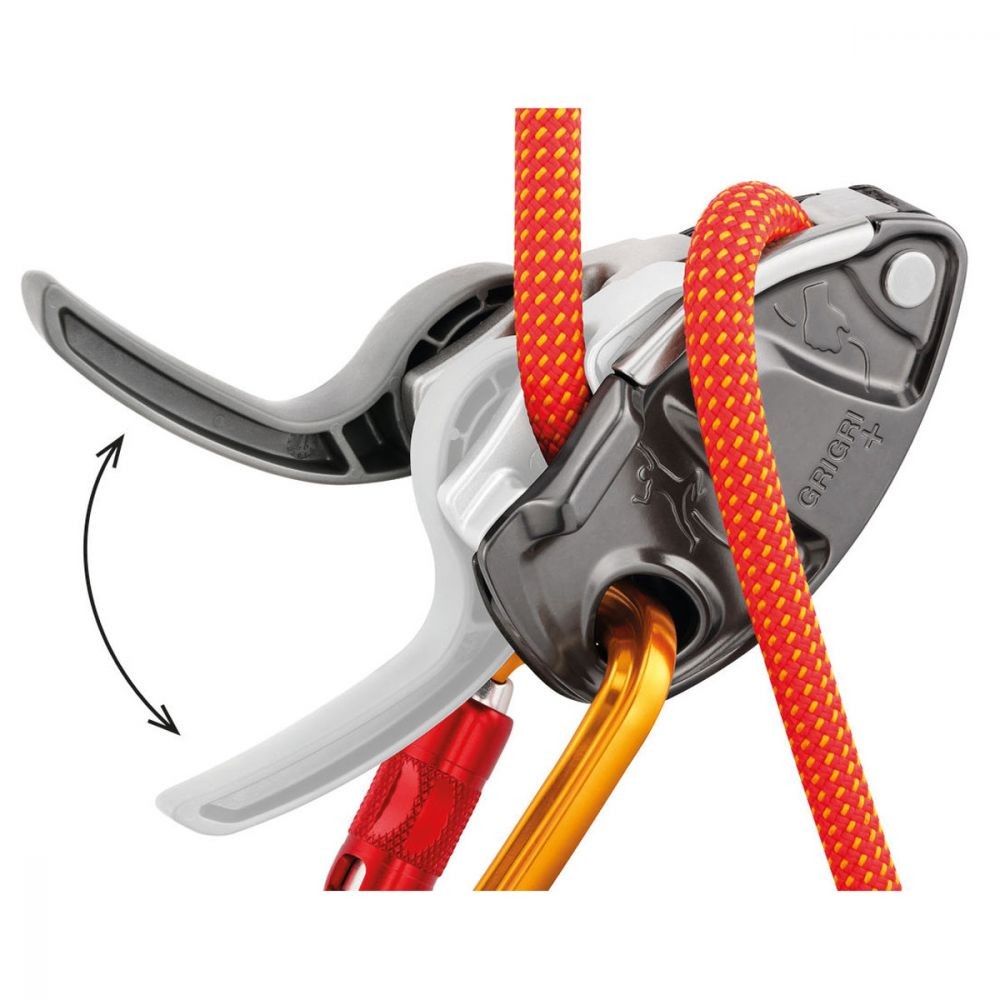 Asegurador GriGri+