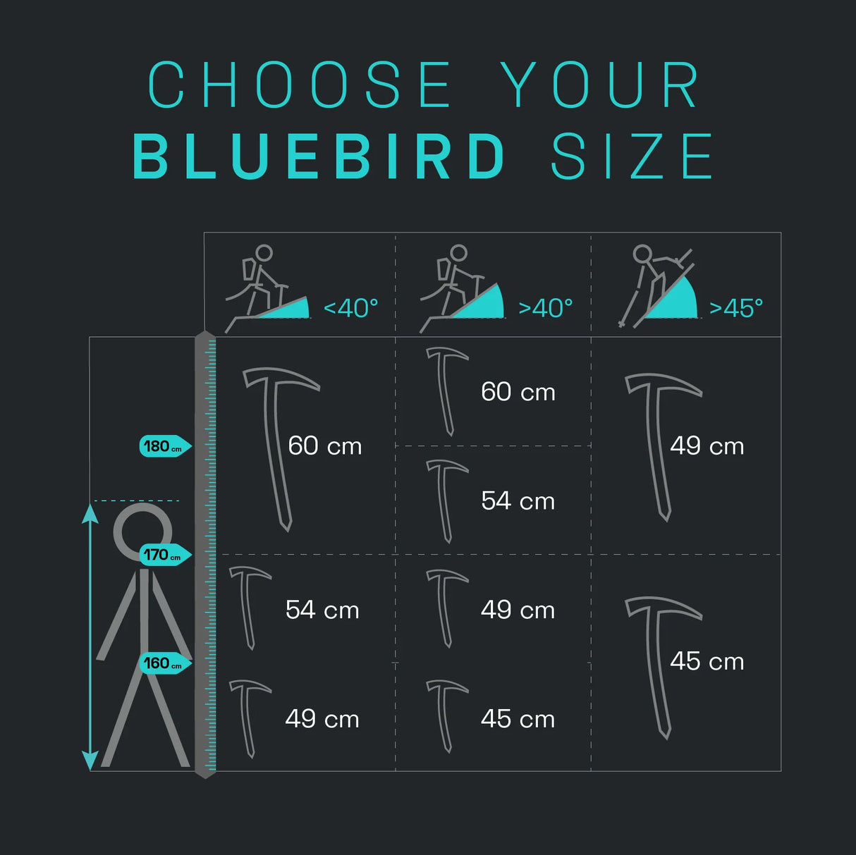 Piolet Bluebird Blue Ice
