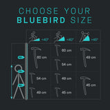 Piolet Bluebird Blue Ice